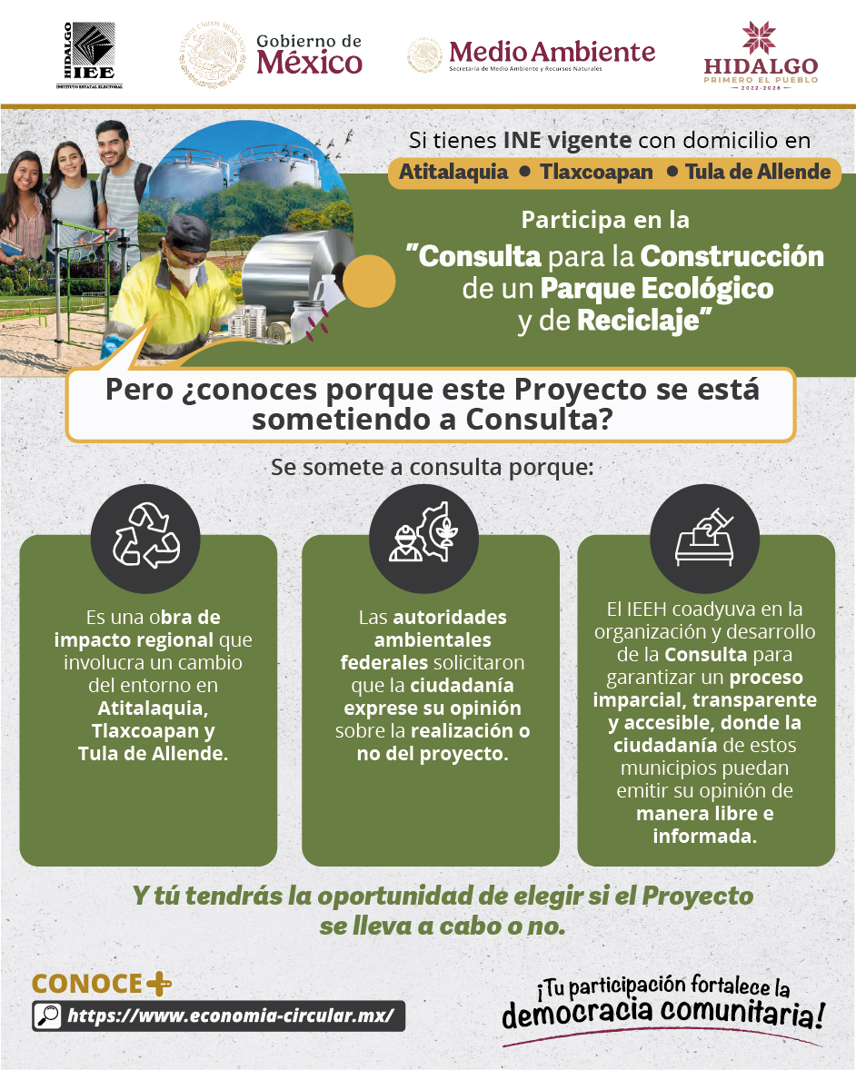 120525_INFOGRAFÍA_ POR QUÉ SE SOMETE A CONSULTA
