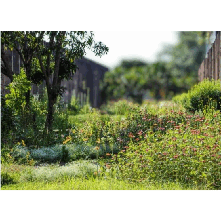 Imagen análoga de la primera etapa del Parque Ecológico_5