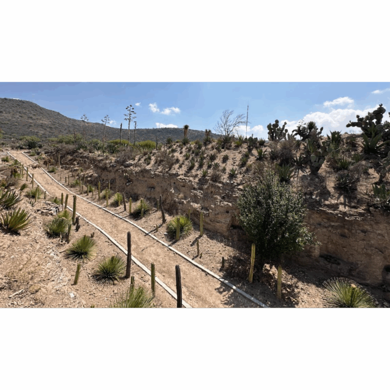 Imagen análoga de la primera etapa del Parque Ecológico_3