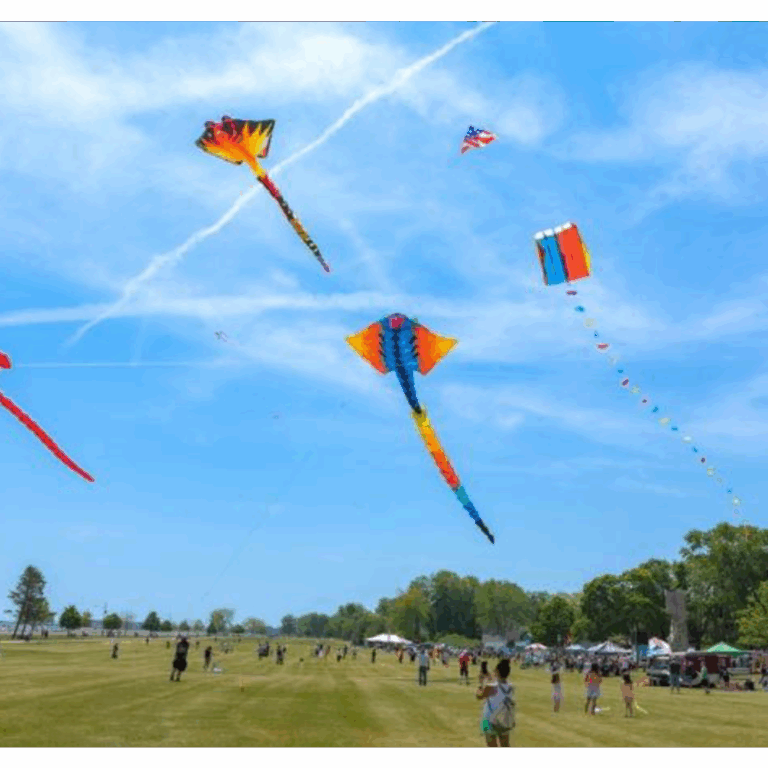 Área recreativa del Parque Ecológico PERH 4